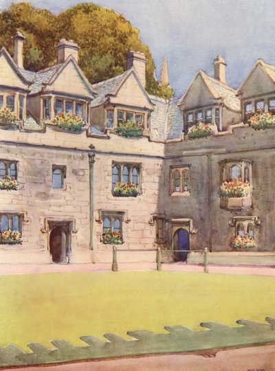 背景はヘーバーの木として知られる有名なトチノキ（カラーリトグラフ）。 作： William Ainsworth Wildman
