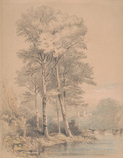 Castelo de Llandovery, Gales do Sul 作： William Alfred Delamotte
