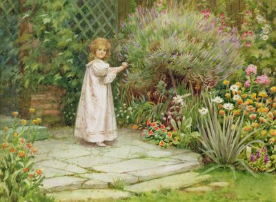 私の庭 作： William Ashburner