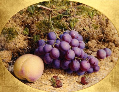 苔むす土手に葡萄と桃（水彩・紙） 作： William B. Hough