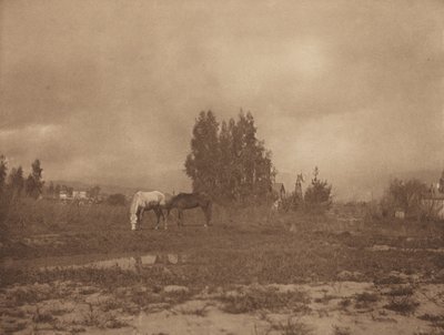 パサデナの風景」1899年 作： William B Post