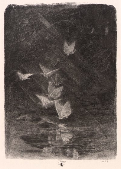 夜の蛾 作： William Baxter Closson