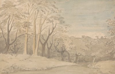 森の風景 作： William Blake