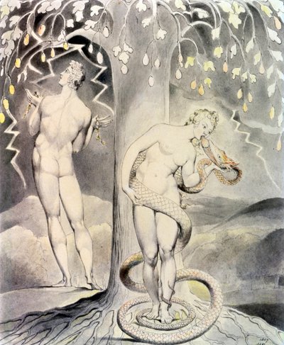  作： William Blake