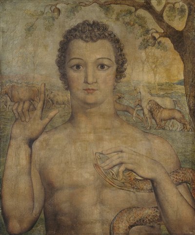 獣に名前をつけるアダム 作： William Blake