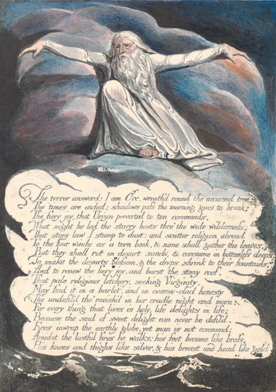 アメリカ。予言、プレート10、答えられた恐怖.... 作： William Blake