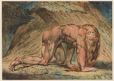 ネブカドネザル、1795年（紙の上にテンペラ、ペンとインクとトイレ） 作： William Blake