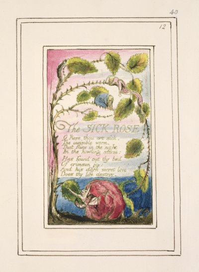 P.124-1950.pt40 The Sick Rose：「無垢と経験の歌」のプレート40（コピーR）c.1802-08（エッチング、インク、トイレ） 作： William Blake