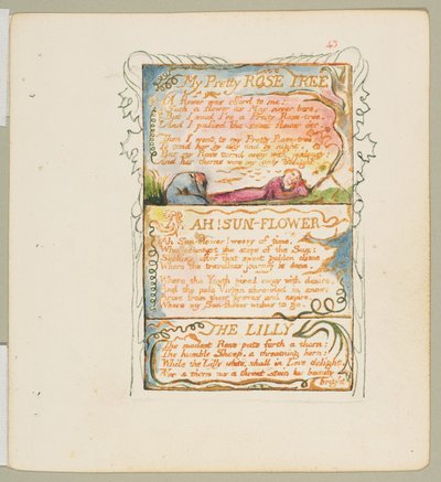 無邪気さと経験の歌。My Pretty Rose Tree, Ah! Sun-Flower, The Lily, ca. 1825. 作： William Blake