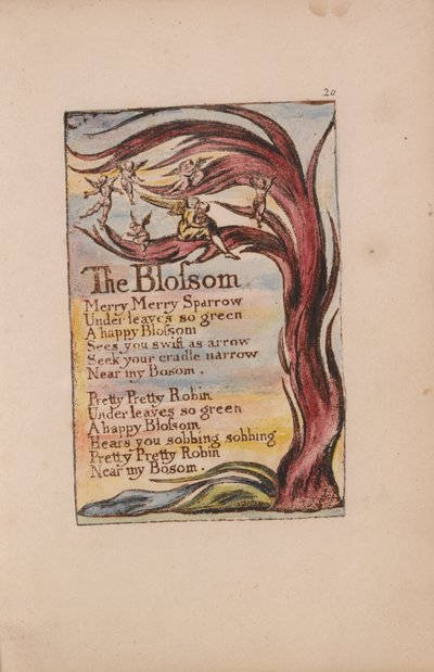 無垢と経験の歌、プレート20、ブロッサム（ベントレー11） 作： William Blake