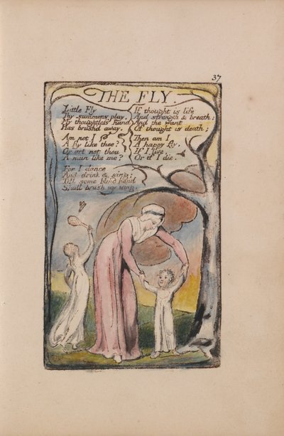 イノセンスと経験の歌、プレート37、ザ・フライ（ベントレー40） 作： William Blake