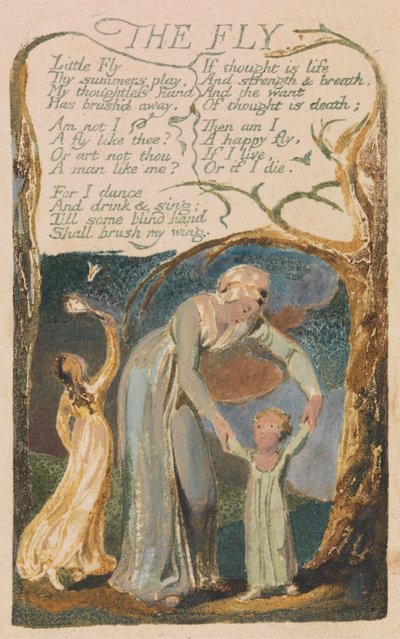 Songs of Innocence and of Experience, levy 48, "The Fly" (Bentley 40) 作： William Blake