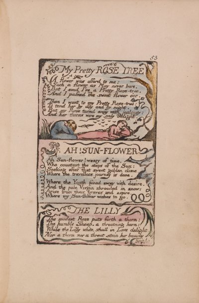 無垢と経験の歌、プレート53、私のかわいいバラの木、ああ！サンフラワー、リリー 作： William Blake