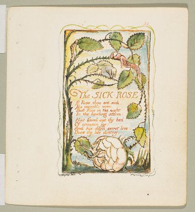 無邪気さと経験の歌。病気の薔薇』1825年頃。 作： William Blake