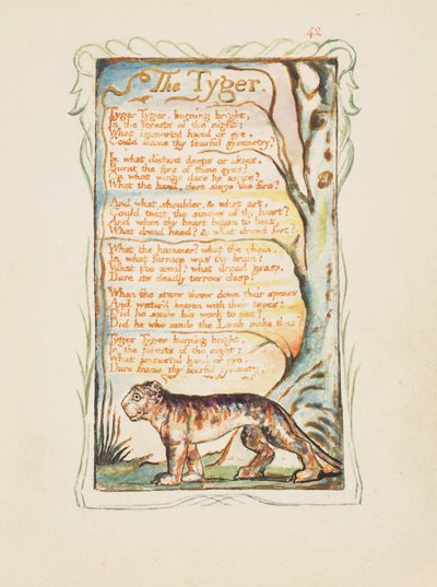 イノセンスとエクスペリエンスの歌：タイガー、c.1825（水彩で手塗りの茶色のインクエッチング） 作： William Blake