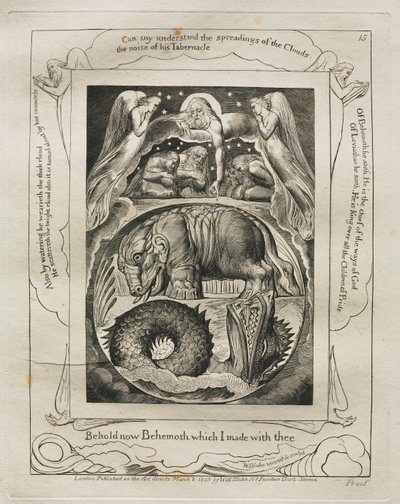 ヨブ記: Pl. 15、今見よ、私があなたと作ったベヒモス 作： William Blake