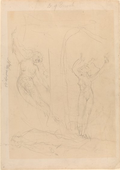 男の娘はサイレンになる 作： William Blake