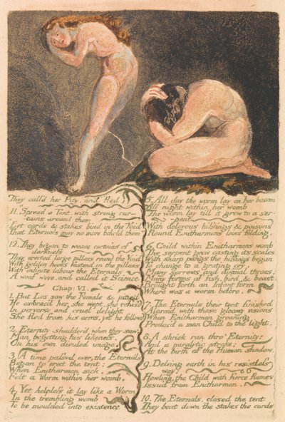 ウリゼンの最初の本、プレート17、彼らは彼女の同情を呼び、逃げた。 。 。 。 （ベントレー19） 作： William Blake