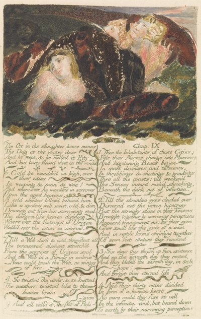 「食肉処理場の牛のうめき声..」、「ウリゼンの最初の本」のプレート23 作： William Blake