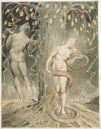  作： William Blake