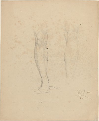 二足 作： William Blake