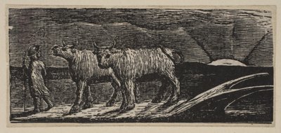 Unyokd Heifers、Loitering Homeward、from Thorntons Pastorals of Virgil、1821。 作： William Blake