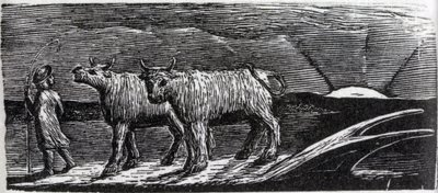 Unyoked Heifers Loitering Homeward、ソーントン博士の「バージルのパストラルズ」のイラスト 作： William Blake