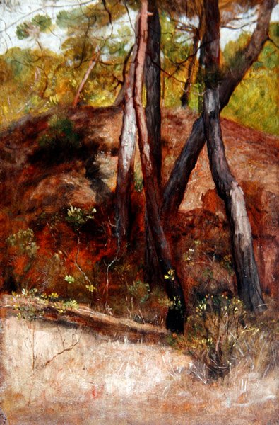ボッカダールノの木 作： William Blake Richmond