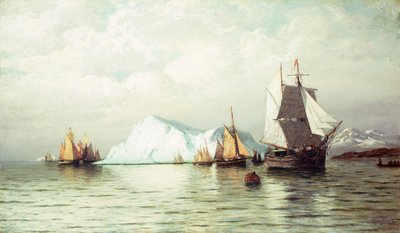  作： William Bradford
