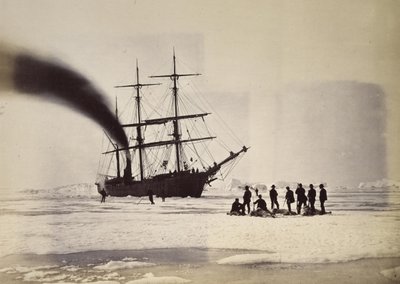 メルビル湾での蒸気による狩猟 作： William Bradford
