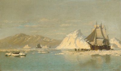  作： William Bradford