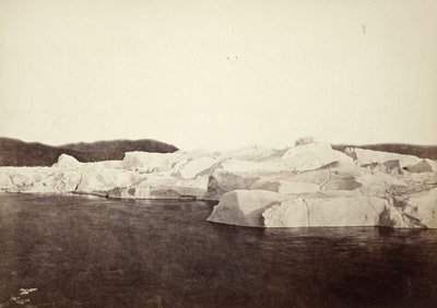  作： William Bradford