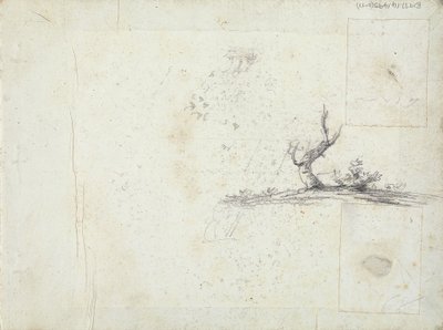 表紙裏：木のスケッチ（反転） 作： William Brockedon