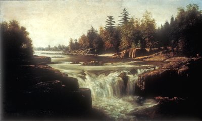 パセーイク川の小さな滝 (厚紙の裏地にキャンバスに油彩) 作： William Charles Anthony Frerichs
