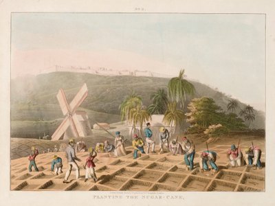 サトウキビを植える様子、1820年頃（カラーエングレーヴィング） 作： William Clark