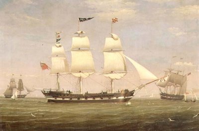 不明な画像 作： William Clark