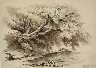 湖に張り出した木々のある風景 作： William Collingwood Smith