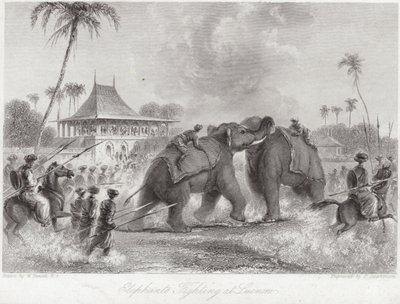 ラクナウで戦う象 作： William Daniell