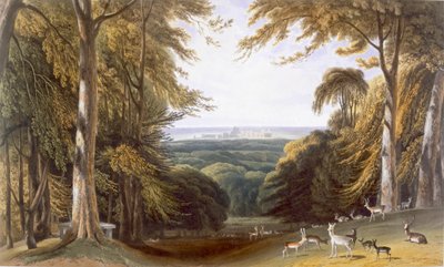 ビショップス ゲート近くのウィンザー パークのグレン、1827～30 年頃。 作： William Daniell