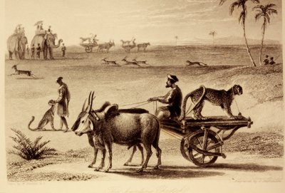 狩猟チーター 作： William Daniell
