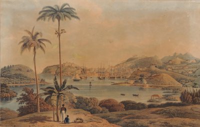 グレナダ島のセントジョージとリッチモンドハイツの町の景色。ウィルソン中佐、1819年に湾から撮影 作： William Daniell