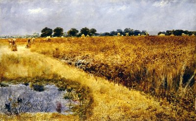 とうもろこしの畑（油彩・ボード） 作： William Davis