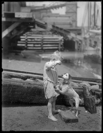 裸足の少年、おそらくウィリアムグレイハスラーは、1910年頃、ニューヨークの川や湖の岸で犬と遊ぶ 作： William Davis Hassler