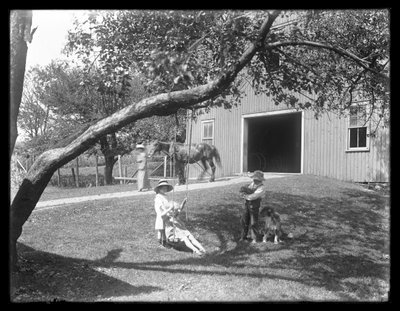1913年頃、犬と子犬を連れたマクレディ家の子供たちが納屋の外のロープスイングに集まりました。 作： William Davis Hassler