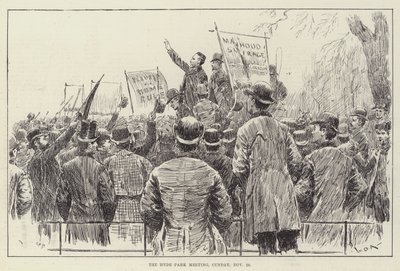 ハイドパーク会議、11月20日、日曜日 作： William Douglas Almond