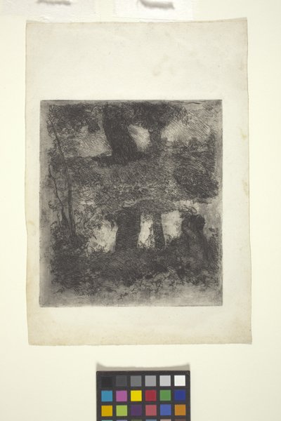 Paisagem com Fauno e Piscina (Paisagem Refletida) (gravura) 作： William Forsyth