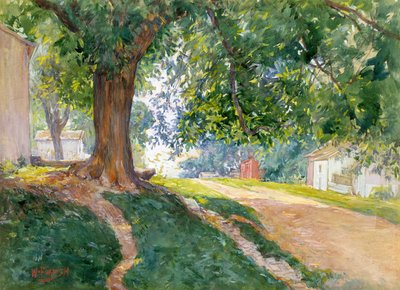 The Constitutional Elm (aquarela e guache sobre papel off-white) 作： William Forsyth