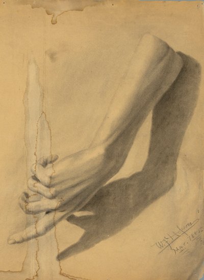 学術研究 作： William Fowler Hopson