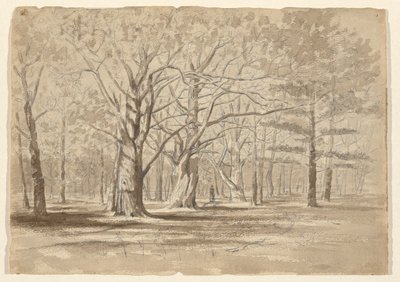カレッジウッズ 作： William Fowler Hopson