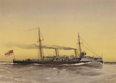 HMSスピードウェル、魚雷砲艦 作： William Frederick Mitchell
